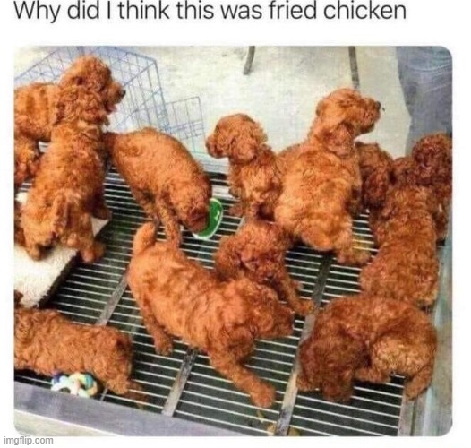 image tagged in dark humor | made w/ Imgflip meme maker