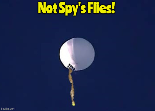 Spies vs Flies | Not Spy's Flies! | image tagged in spy,fly | made w/ Imgflip meme maker
