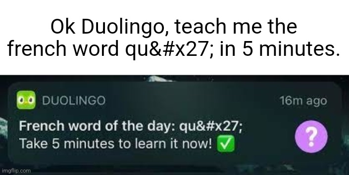 Ok Duolingo, teach me the french word qu&#x27; in 5 minutes. | made w/ Imgflip meme maker