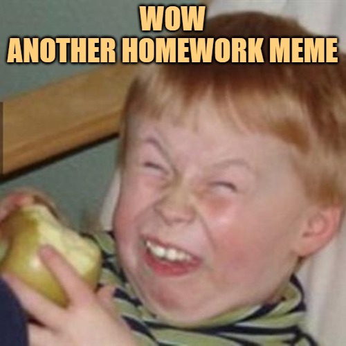 laughing kid | WOW
ANOTHER HOMEWORK MEME | image tagged in laughing kid | made w/ Imgflip meme maker