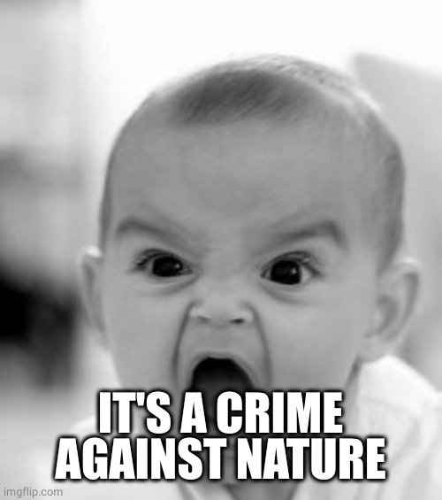 Angry Baby Meme | IT'S A CRIME AGAINST NATURE | image tagged in memes,angry baby | made w/ Imgflip meme maker