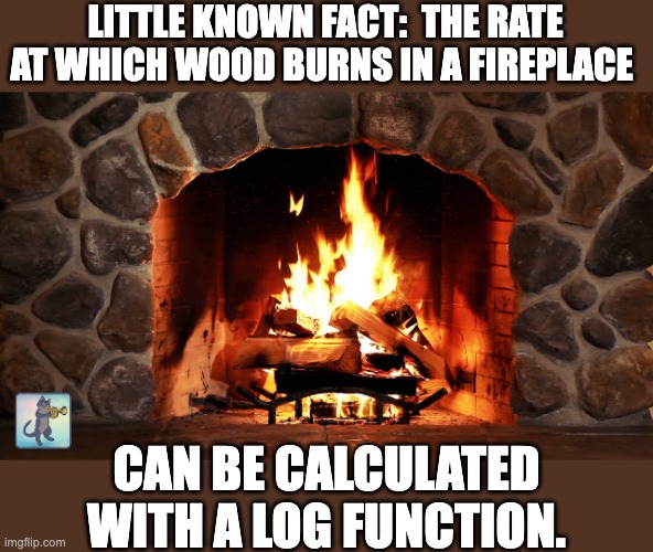 Log | LITTLE KNOWN FACT:  THE RATE AT WHICH WOOD BURNS IN A FIREPLACE; CAN BE CALCULATED WITH A LOG FUNCTION. | image tagged in bad pun | made w/ Imgflip meme maker