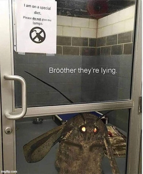 image tagged in horror | made w/ Imgflip meme maker