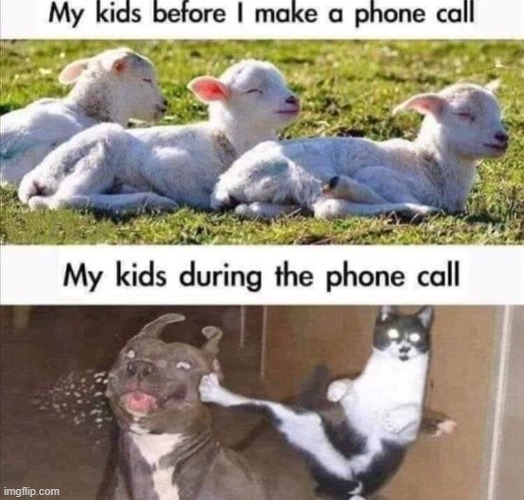 image tagged in repost | made w/ Imgflip meme maker