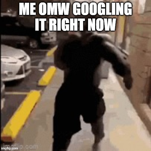 Me omw to | ME OMW GOOGLING IT RIGHT NOW | image tagged in me omw to | made w/ Imgflip meme maker