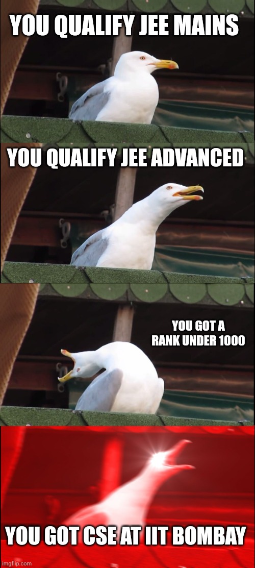 Inhaling Seagull Meme | YOU QUALIFY JEE MAINS; YOU QUALIFY JEE ADVANCED; YOU GOT A RANK UNDER 1000; YOU GOT CSE AT IIT BOMBAY | image tagged in memes,inhaling seagull | made w/ Imgflip meme maker