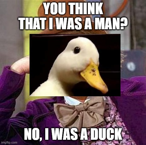 o | YOU THINK THAT I WAS A MAN? NO, I WAS A DUCK | image tagged in memes,creepy condescending wonka | made w/ Imgflip meme maker