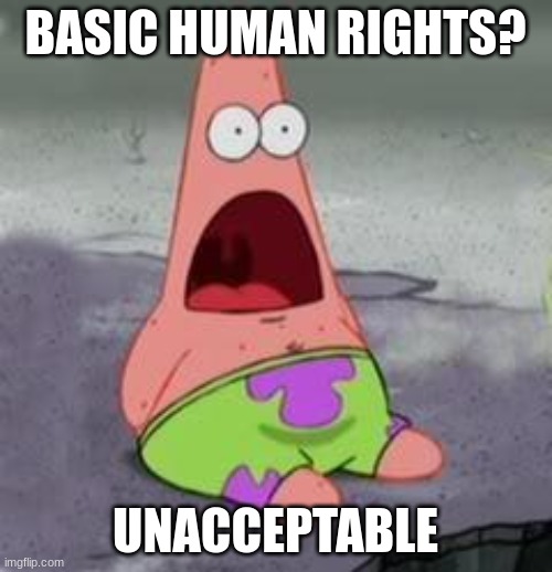 Suprised Patrick | BASIC HUMAN RIGHTS? UNACCEPTABLE | image tagged in suprised patrick | made w/ Imgflip meme maker