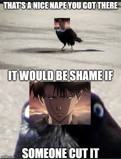 run | THAT'S A NICE NAPE YOU GOT THERE; IT WOULD BE SHAME IF; SOMEONE CUT IT | image tagged in it would be a shame bird,attack on titan | made w/ Imgflip meme maker