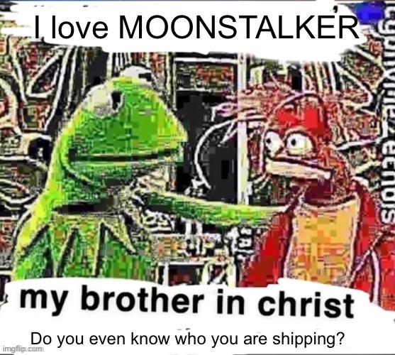 My brother in Christ | I love MOONSTALKER Do you even know who you are shipping? | image tagged in my brother in christ | made w/ Imgflip meme maker