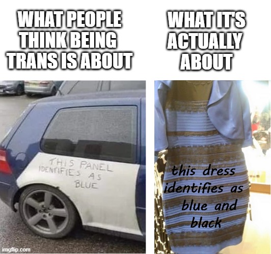 the dress identifies as blue and black | WHAT IT'S
ACTUALLY 
ABOUT; WHAT PEOPLE
THINK BEING 
TRANS IS ABOUT | image tagged in the dress,transgender | made w/ Imgflip meme maker