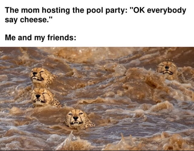image tagged in repost,fun,funny,memes,pool party,pool | made w/ Imgflip meme maker