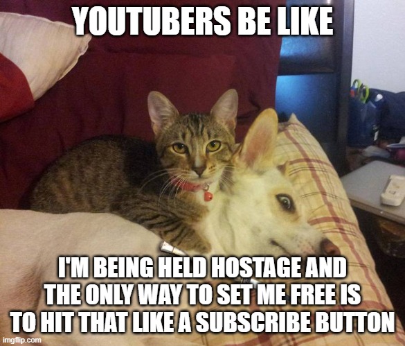 dog hostage | YOUTUBERS BE LIKE; I'M BEING HELD HOSTAGE AND THE ONLY WAY TO SET ME FREE IS TO HIT THAT LIKE A SUBSCRIBE BUTTON | image tagged in dog hostage | made w/ Imgflip meme maker
