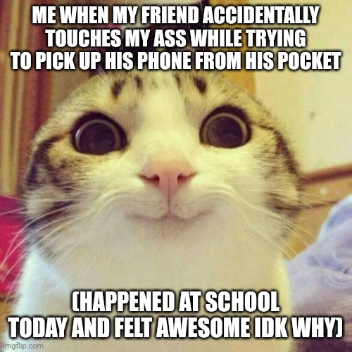 Smiling Cat | ME WHEN MY FRIEND ACCIDENTALLY TOUCHES MY ASS WHILE TRYING TO PICK UP HIS PHONE FROM HIS POCKET; (HAPPENED AT SCHOOL TODAY AND FELT AWESOME IDK WHY) | image tagged in memes,smiling cat | made w/ Imgflip meme maker