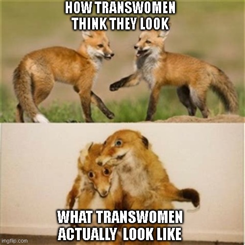 LGB NO T | HOW TRANSWOMEN THINK THEY LOOK; WHAT TRANSWOMEN ACTUALLY  LOOK LIKE | image tagged in lgb | made w/ Imgflip meme maker