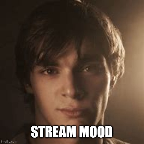 walter jr | STREAM MOOD | image tagged in walter jr | made w/ Imgflip meme maker