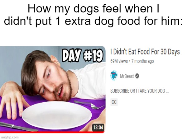 dog moment | How my dogs feel when I didn't put 1 extra dog food for him: | image tagged in dogs,mrbeast,hunger | made w/ Imgflip meme maker