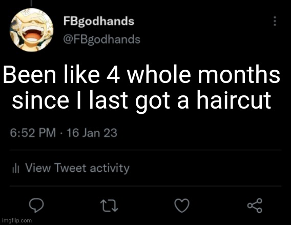 I'd have hair in my face if I didn't comb it | Been like 4 whole months since I last got a haircut | image tagged in pie charts | made w/ Imgflip meme maker