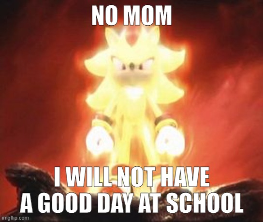 hey chat | NO MOM; I WILL NOT HAVE A GOOD DAY AT SCHOOL | image tagged in super shadow | made w/ Imgflip meme maker