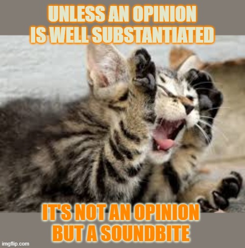 This #lolcat wonders if people know what an 'opinion' actually is | UNLESS AN OPINION
IS WELL SUBSTANTIATED; IT'S NOT AN OPINION
BUT A SOUNDBITE | image tagged in lolcat,opinion,soundbite,think about it | made w/ Imgflip meme maker