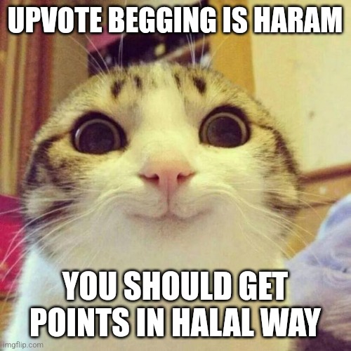 *kills myself with a rpg* | UPVOTE BEGGING IS HARAM; YOU SHOULD GET POINTS IN HALAL WAY | image tagged in memes,smiling cat | made w/ Imgflip meme maker