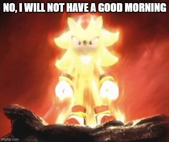 e | NO, I WILL NOT HAVE A GOOD MORNING | image tagged in super shadow | made w/ Imgflip meme maker