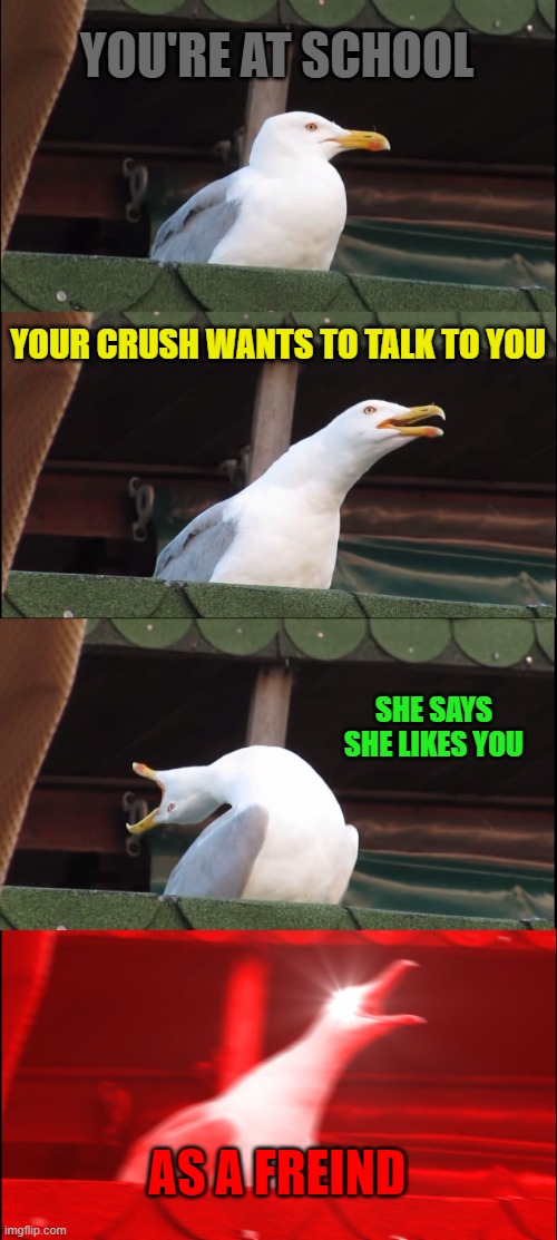 me when my crush--- | YOU'RE AT SCHOOL; YOUR CRUSH WANTS TO TALK TO YOU; SHE SAYS SHE LIKES YOU; AS A FREIND | image tagged in memes,inhaling seagull | made w/ Imgflip meme maker