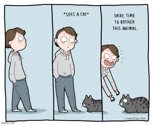 A Cat Guys Way Of Thinking | image tagged in memes,comics,ok,time,bother,cats | made w/ Imgflip meme maker