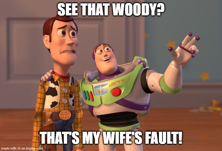 X, X Everywhere Meme | SEE THAT WOODY? THAT'S MY WIFE'S FAULT! | image tagged in memes,x x everywhere | made w/ Imgflip meme maker
