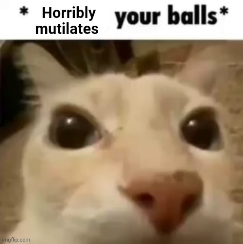 X your balls | Horribly mutilates | image tagged in x your balls | made w/ Imgflip meme maker
