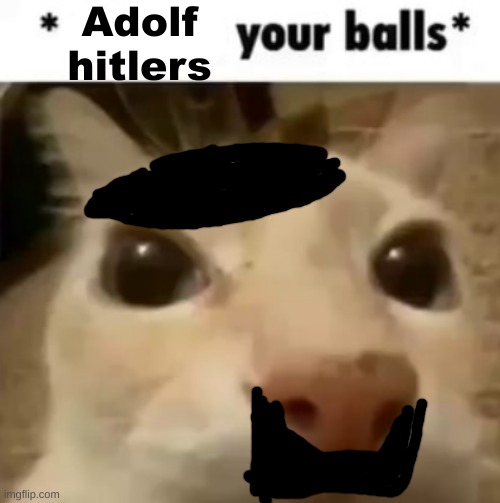 The Ball-ocaust | Adolf hitlers | image tagged in x your balls | made w/ Imgflip meme maker