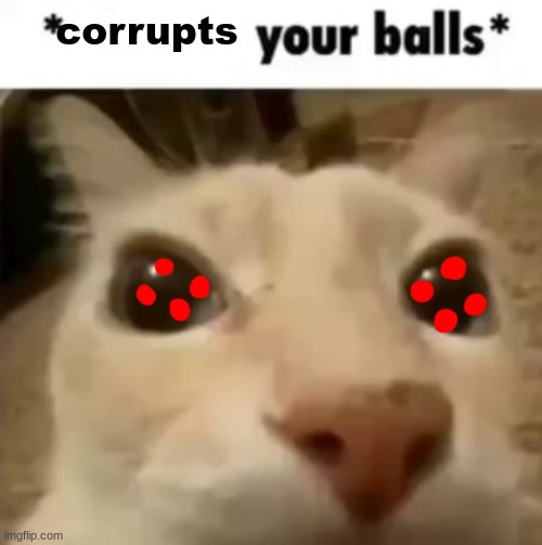 X your balls | corrupts | image tagged in x your balls | made w/ Imgflip meme maker