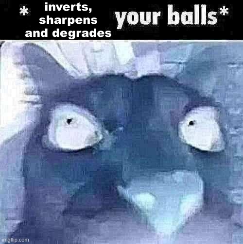 X your balls | inverts, sharpens and degrades | image tagged in x your balls | made w/ Imgflip meme maker