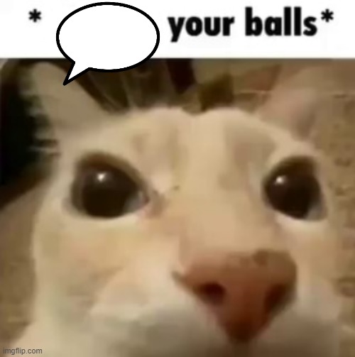 X your balls | image tagged in x your balls | made w/ Imgflip meme maker