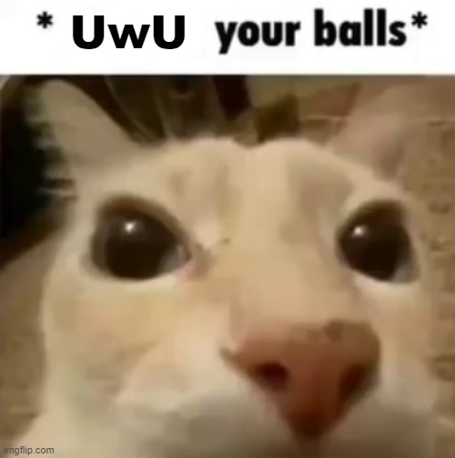 X your balls | UwU | image tagged in x your balls | made w/ Imgflip meme maker