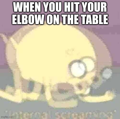 "sees every color in the universe shoot up their nerves" | WHEN YOU HIT YOUR ELBOW ON THE TABLE | image tagged in jake the dog internal screaming | made w/ Imgflip meme maker