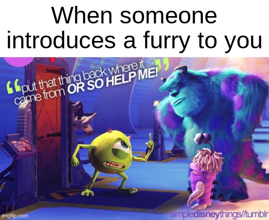 i hate furries | When someone introduces a furry to you | image tagged in put that thing,anti furry | made w/ Imgflip meme maker