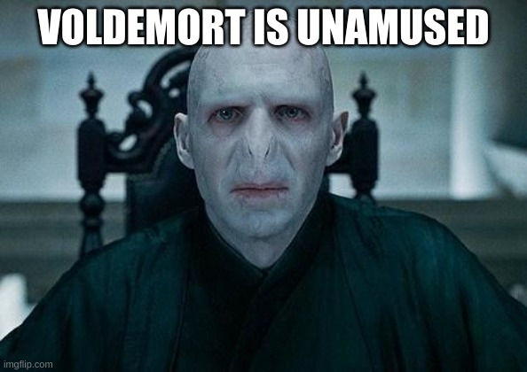 Lord Voldemort | VOLDEMORT IS UNAMUSED | image tagged in lord voldemort | made w/ Imgflip meme maker