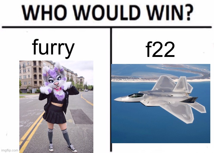 furry; f22 | image tagged in who would win | made w/ Imgflip meme maker