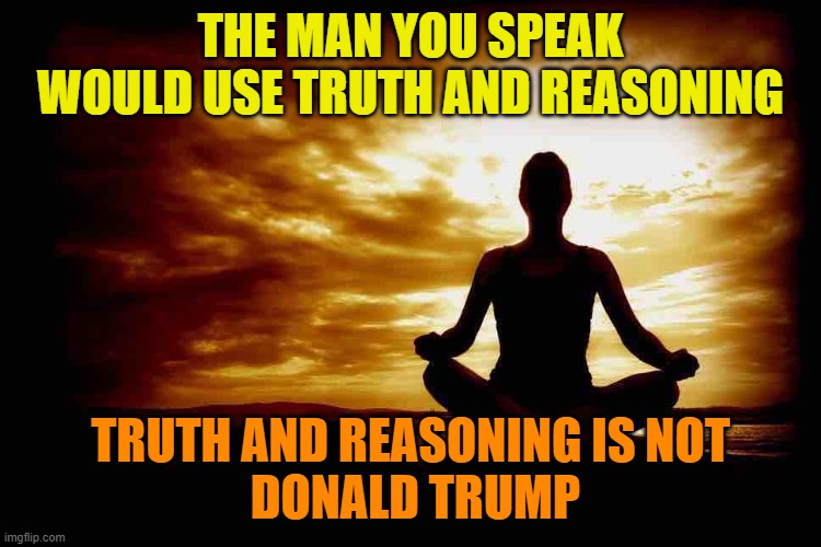A Few Zen Thoughts For Those Who Take Life Too Seriously | THE MAN YOU SPEAK WOULD USE TRUTH AND REASONING TRUTH AND REASONING IS NOT
 DONALD TRUMP | image tagged in a few zen thoughts for those who take life too seriously | made w/ Imgflip meme maker