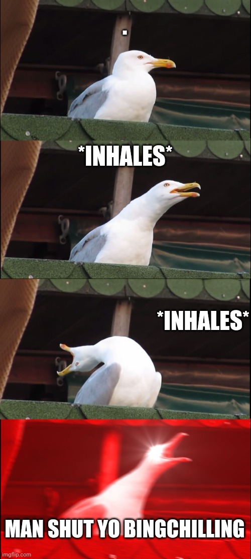 E | . *INHALES*; *INHALES*; MAN SHUT YO BINGCHILLING | image tagged in memes,inhaling seagull | made w/ Imgflip meme maker