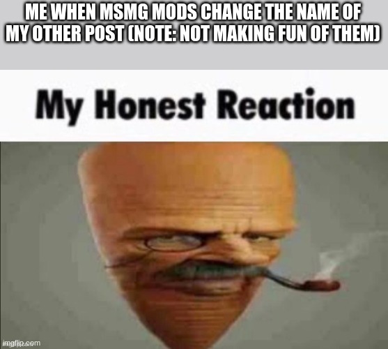 NIGGER!!!!! BALLS!!!!!! | ME WHEN MSMG MODS CHANGE THE NAME OF MY OTHER POST (NOTE: NOT MAKING FUN OF THEM) | image tagged in my honest reaction | made w/ Imgflip meme maker