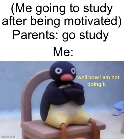 That’s why I made this meme……. | (Me going to study after being motivated); Parents: go study; Me: | image tagged in pingu well now i am not doing it | made w/ Imgflip meme maker