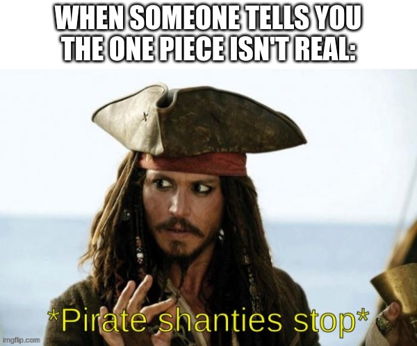 An example of my new template | WHEN SOMEONE TELLS YOU THE ONE PIECE ISN'T REAL: | image tagged in pirate shanties stop | made w/ Imgflip meme maker