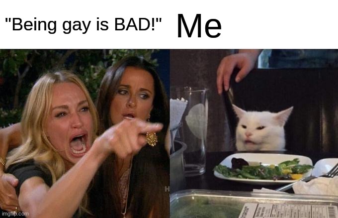 NO! | "Being gay is BAD!"; Me | image tagged in memes,woman yelling at cat | made w/ Imgflip meme maker
