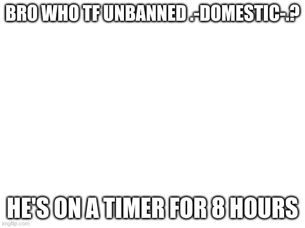 check the mod logs stupid | BRO WHO TF UNBANNED .-DOMESTIC-.? HE'S ON A TIMER FOR 8 HOURS | made w/ Imgflip meme maker