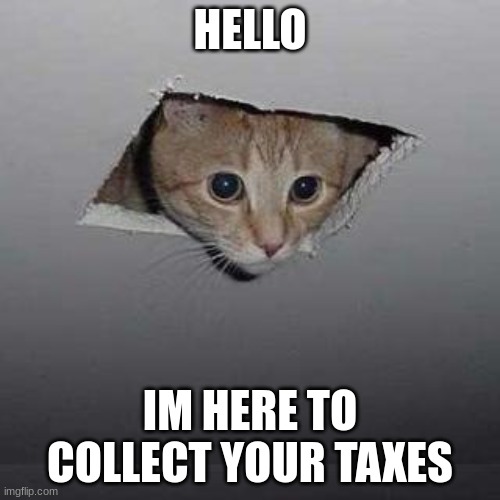 Ceiling Cat | HELLO; IM HERE TO COLLECT YOUR TAXES | image tagged in memes,ceiling cat | made w/ Imgflip meme maker