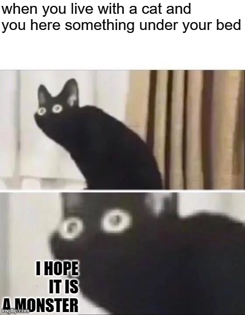 only true cat people know the pain of havening a cat attack you in the middle of the night | when you live with a cat and you here something under your bed; I HOPE IT IS A MONSTER | image tagged in oh no black cat | made w/ Imgflip meme maker