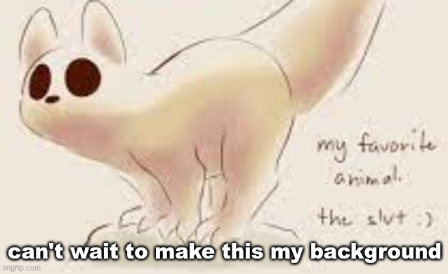 my favorite animal | can't wait to make this my background | image tagged in my favorite animal | made w/ Imgflip meme maker