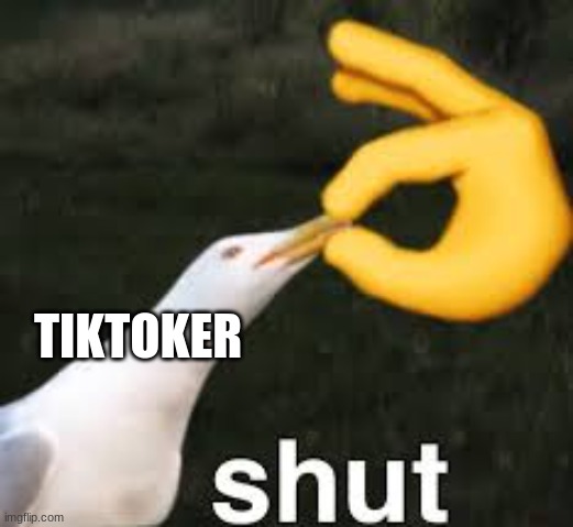 Shut Bird | TIKTOKER | image tagged in shut bird | made w/ Imgflip meme maker